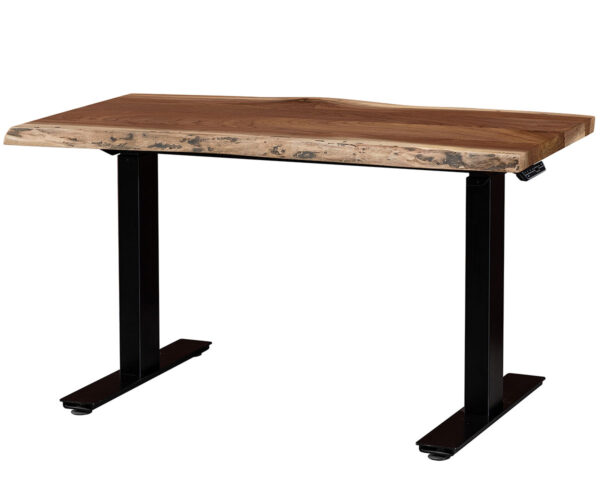 Surf Side Desk